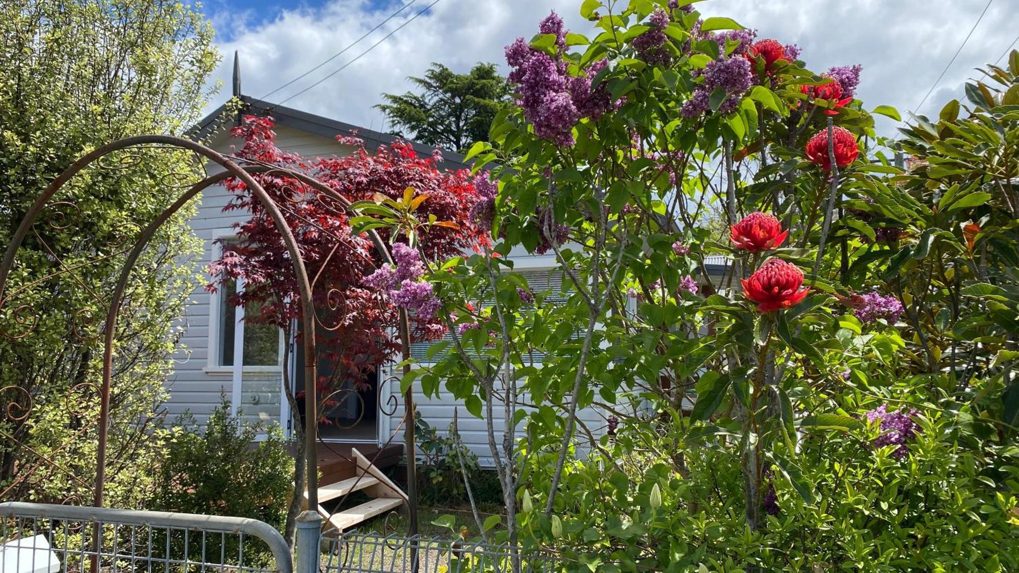 Cheerful Mountain Cottage, 'Lynette' Katoomba Exterior photo